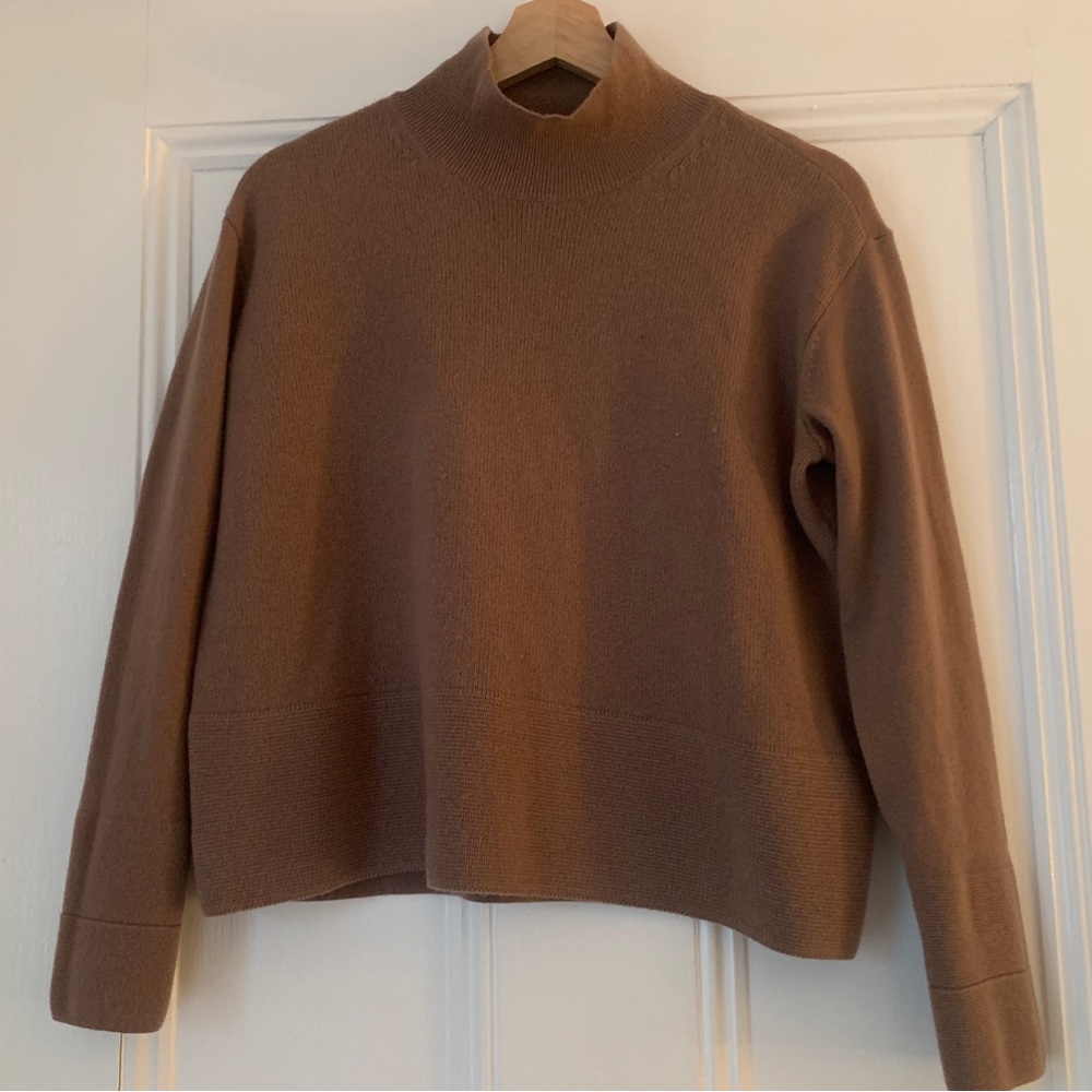 Everlane Brown Turtleneck Sweater